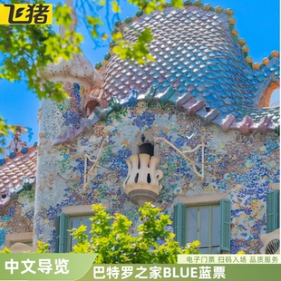 [巴特罗之家-蓝票]电子票  扫码入场