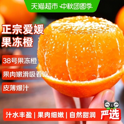 寻天果蔬爱媛冰糖橙皮薄多汁
