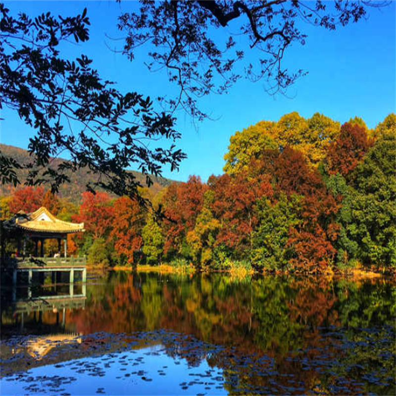 [钟山风景名胜区-南京钟山风景区-套票]南京钟山风景区门票