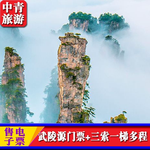 [张家界国家森林公园-4日门票+三索一梯四程（限四次）联票  ]武陵源景区门票