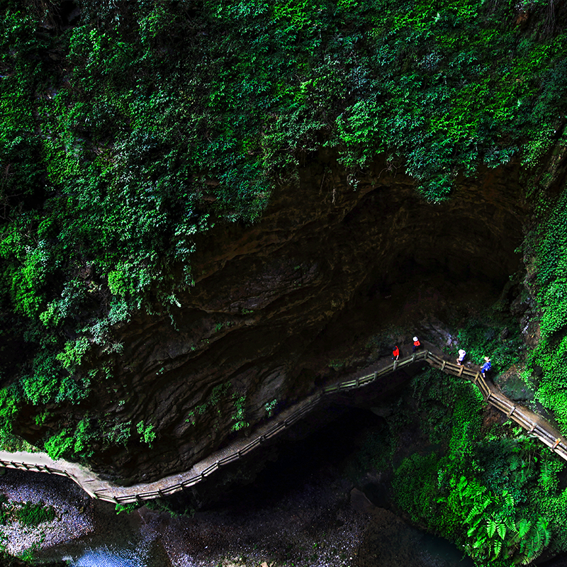 重庆周边游武隆天生三桥/龙水峡地缝/仙女山+乌江赤壁包车1日游