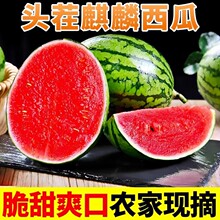 8424美都麒麟西瓜脆甜薄皮冰糖西瓜有籽无籽头茬时令应季新鲜水果