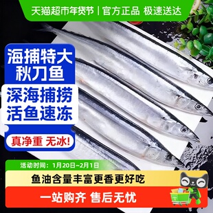 秋刀鱼新鲜冷冻商用特大号日式料理烧烤海鲜水产深海