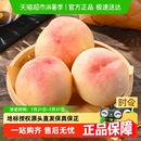 白凤湖景桃子礼盒装 顺丰 包邮 正宗无锡阳山水蜜桃新鲜水果应季