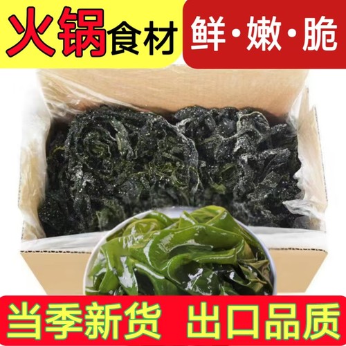 盐渍裙带菜半干整箱非干货凉拌菜麻辣烫火锅食材商用产地批发