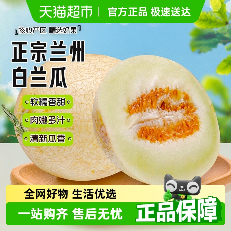兰州白兰瓜新鲜应季甜瓜水果汁多肉甜【顺丰包邮】