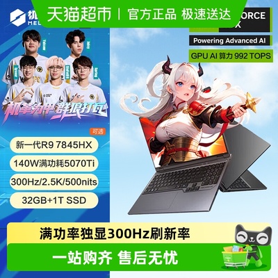 机械革命蛟龙16Pro电竞游戏本