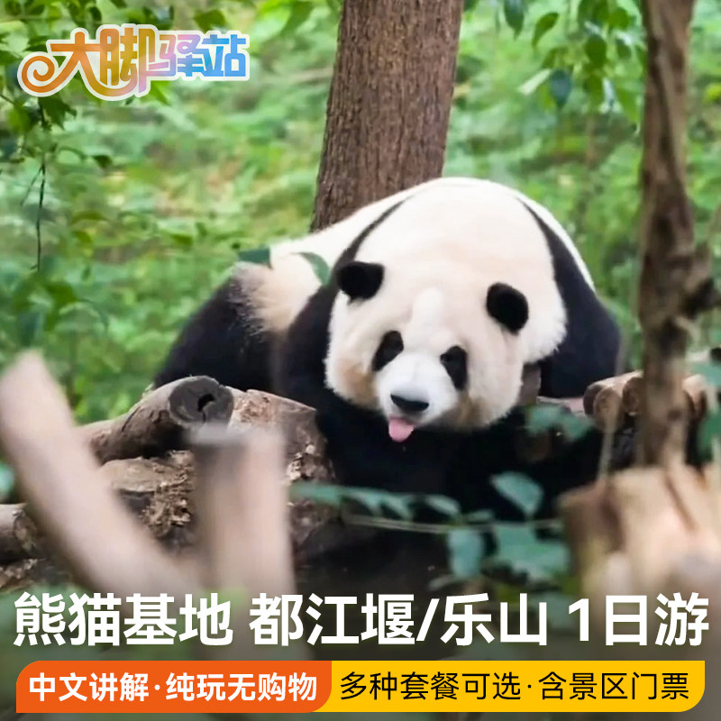 成都旅游熊猫基地都江堰三星堆乐山一日游跟团游周边游含景区门票