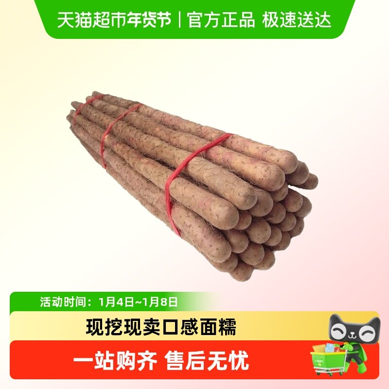 铁棍山药正宗垆土淮山现挖铁杆怀山当季蔬菜新鲜小白嘴山药面糯香