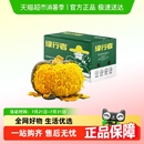 新鲜板栗南瓜软糯香甜宝宝辅食顺丰发货 绿行者贝贝南瓜当季