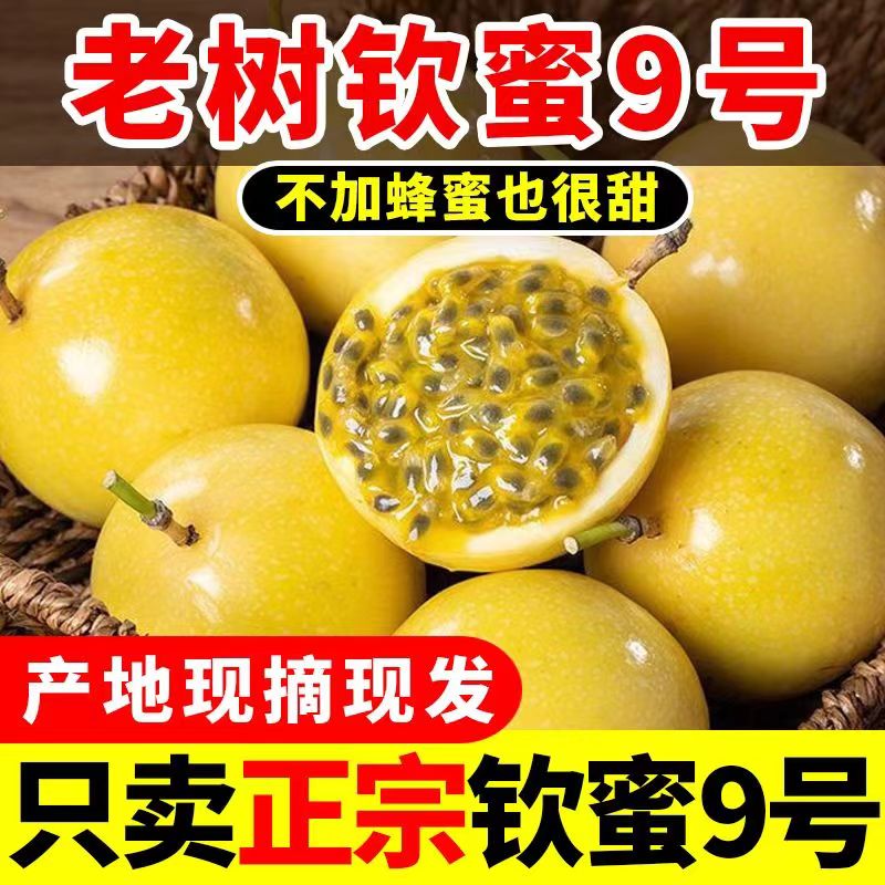 钦蜜9号黄金百香果新鲜包邮5斤大果水果当季整箱包邮钦密黄金果