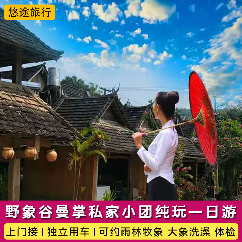 西双版纳野象谷曼掌村一日游私家团可约雨林牧象大象洗澡大象体检