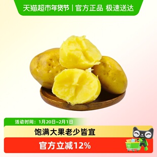 湖北黄心土豆黄皮土豆大个粉糯洋芋马铃薯黄肉土豆黄心整箱