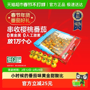 【一颗大】串收樱桃番茄甄选礼盒新鲜采摘酸甜多汁