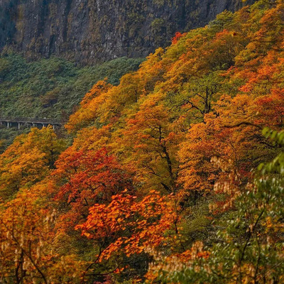 [瓦屋山风景区-成都-瓦屋山直通车（普通车单程/往返）]成都至瓦屋山往返直通车