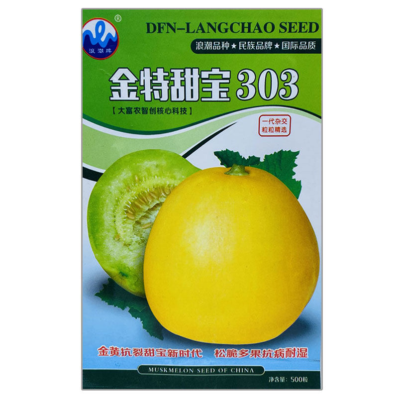 金黄皮圆梨形超甜香瓜种籽子四季