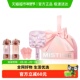Mistine蜜丝婷蝶舞长情挚爱唇釉礼盒彩妆套装 生日礼物 易上色