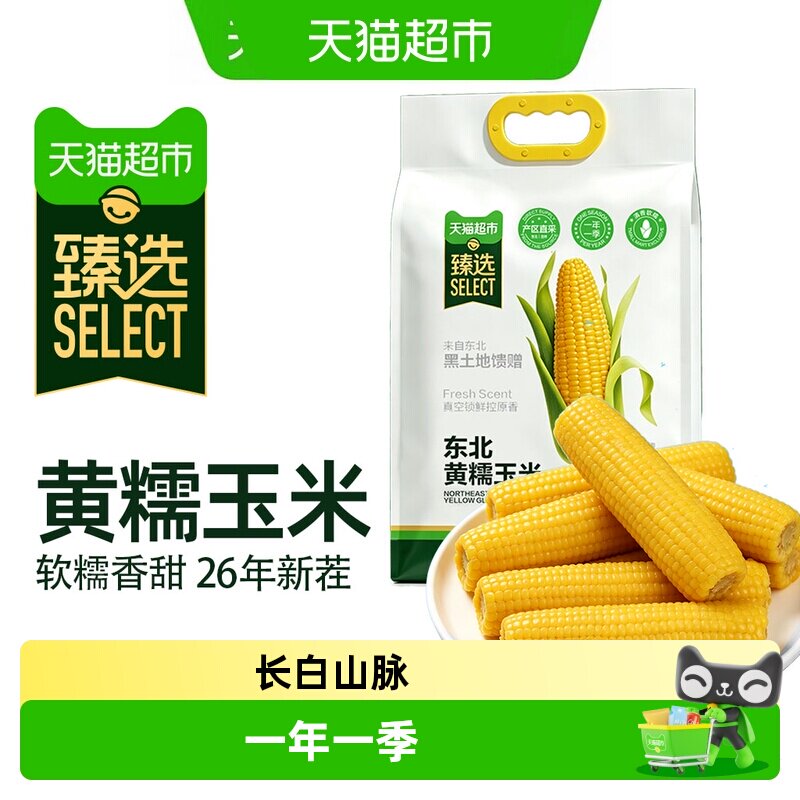 猫超臻选鲜食玉米1.6KG东北黄糯玉米早餐零食代餐新鲜软糯香甜 甜鲜实拍商品图
