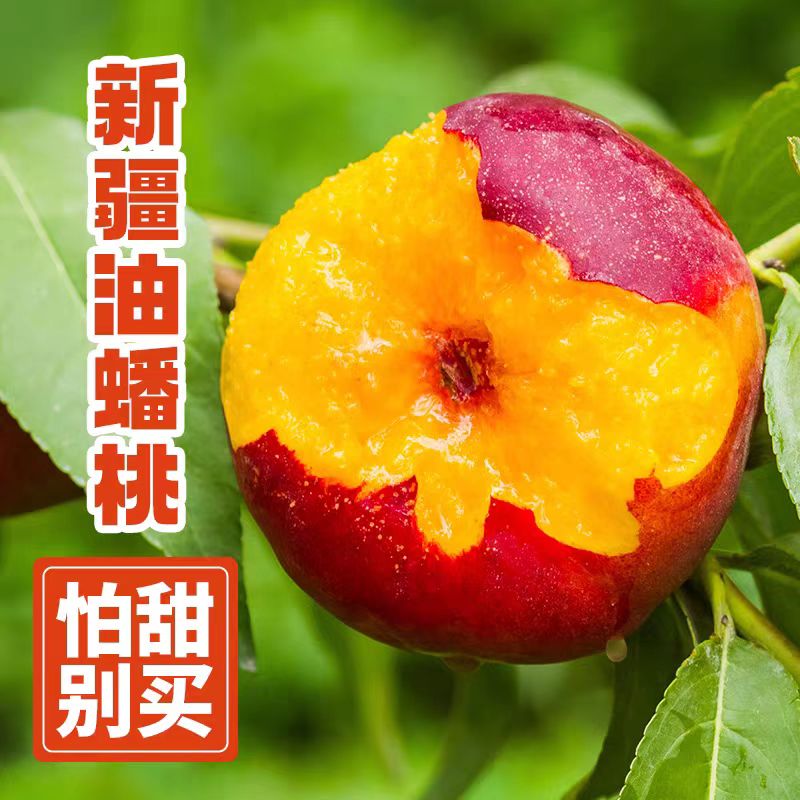 正宗新疆油蟠桃产地直发应季新鲜水果自然熟精品大果超甜蜜桃整箱