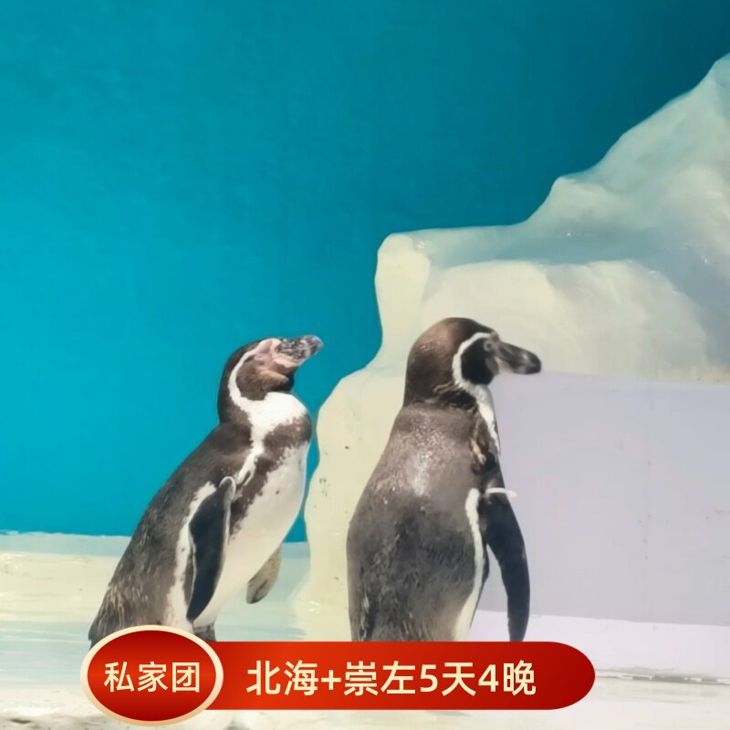 广西北海涠洲岛+银滩+崇左德天瀑布+古龙大峡谷+明仕5天4晚私家团