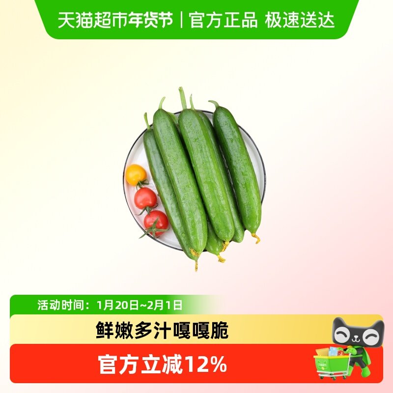 山东水果小黄瓜清脆爽口生吃蘸酱新鲜到家,水产肉类/新鲜蔬果/熟食,黄瓜,淘宝优惠券,粉丝福利购,淘宝优惠卷