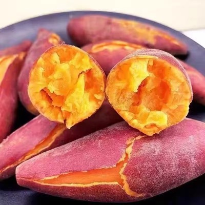 正宗陕西板栗红薯农家自种新鲜番薯地瓜沙地板栗薯蜜薯