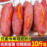 沙地黃心紅薯新鮮農(nóng)家自種糖心超甜地瓜龍九番薯黃心板栗薯非煙薯