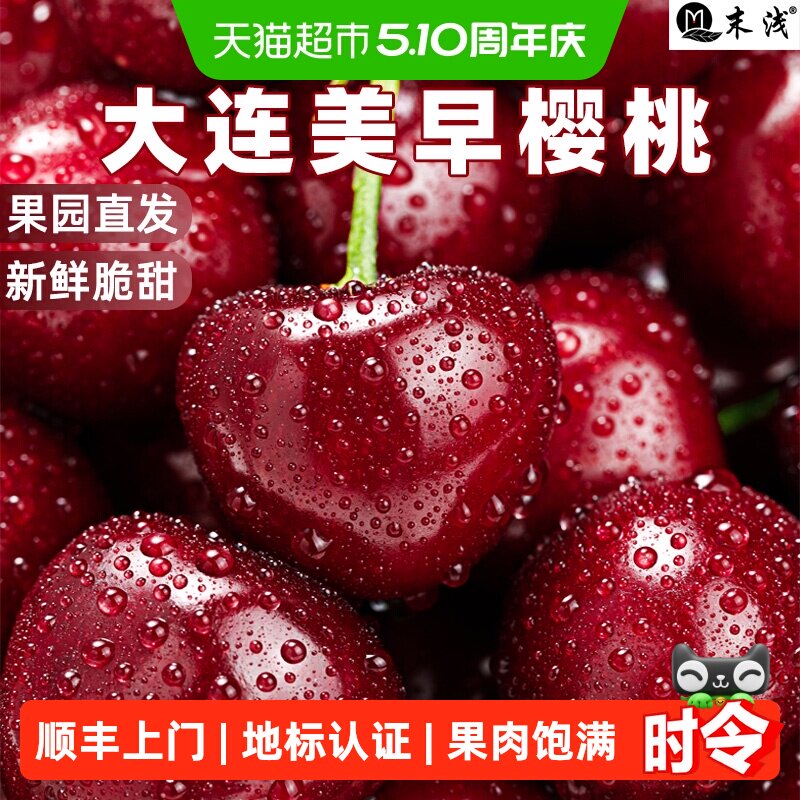 顺丰上门【产地直发】末浅大连美早大樱桃新鲜水果应季现摘顺丰