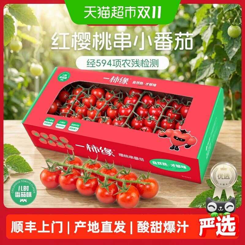 一柿缘 红樱桃串小番茄 产地直发新鲜带枝 自然熟水果礼盒西红柿