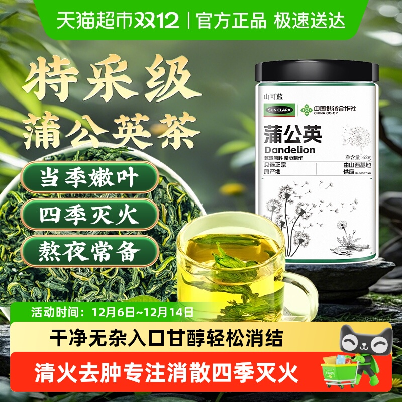 蒲公英茶野外生级特中草药材新鲜婆婆丁无惧火气蒲公英根叶养生茶