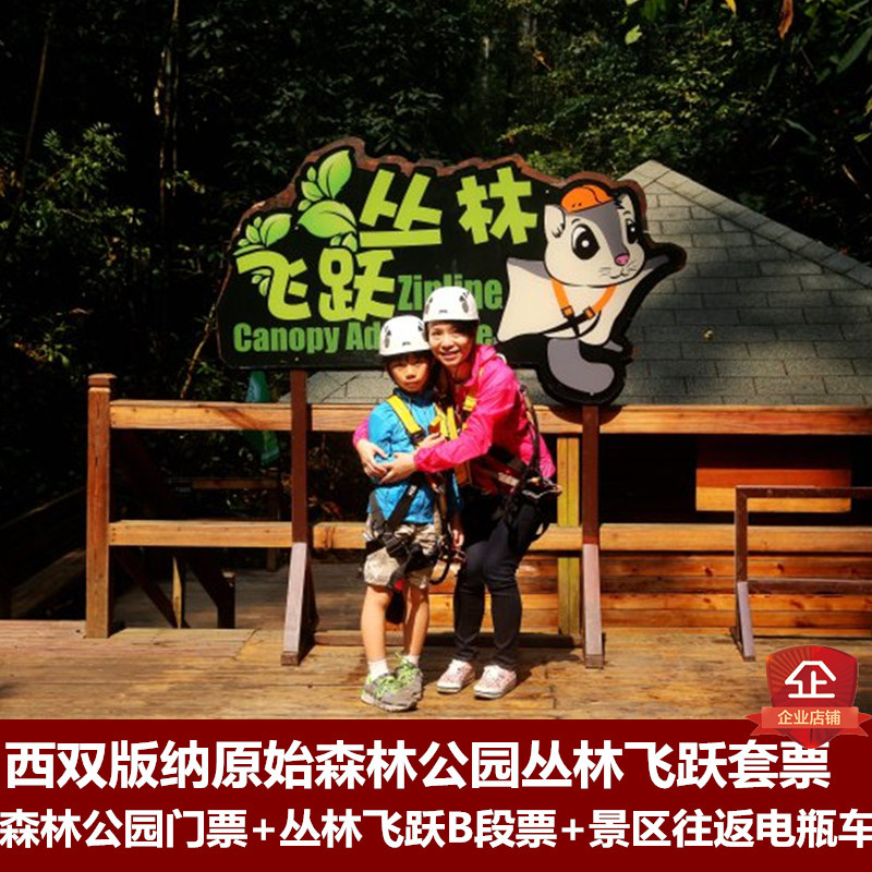 [西双版纳原始森林公园-大门票+往返电瓶车+B段丛林飞跃]大门票+电瓶车+B段丛林飞跃]门票