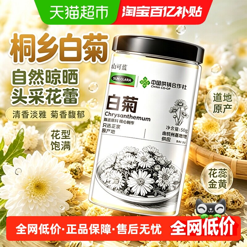 白菊浙江桐乡正宗原产胎菊贡菊杭白菊中草药材头茬新花泡水菊花茶