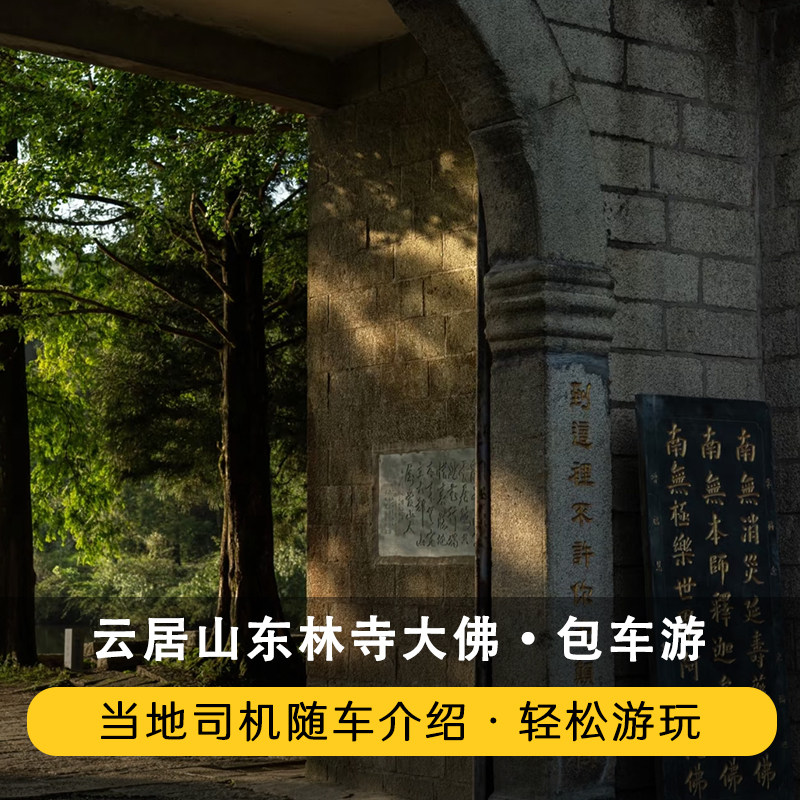 东林大佛+东林寺+云居山九江起止包车一日游图片