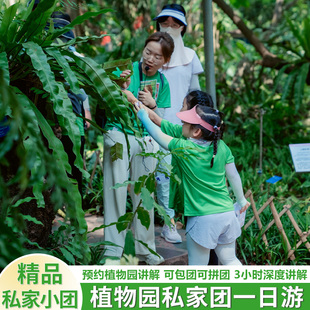 预约植物园讲解*西双版纳中科院热带植物园纯玩一日游含导游讲解