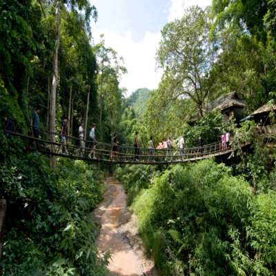 [西双版纳原始森林公园-往返电瓶车]往返电瓶车