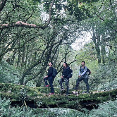 高黎贡山一日游