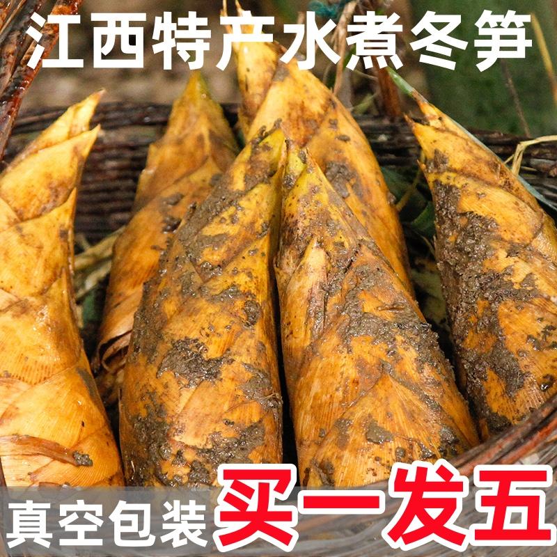 新鲜现剥冬笋肉2斤4斤毛竹笋黄泥笋楠竹江西赣州高山农家特产