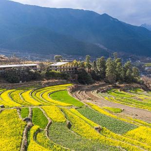 丽江 松赞618 云南旅游 香格里拉5天4晚双人游端午不加价 塔城