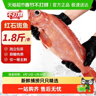 海仙部落红石斑鱼鲜活冷冻海鱼大鱼新鲜超大条红鱼龙胆富贵鱼