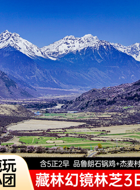 西藏拉萨林芝雅鲁藏布江大峡谷三日两晚纯玩旅游跟团游