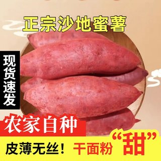 正宗沙地糖心蜜薯9斤沙地红薯现挖新鲜农家番薯粉糯新鲜地瓜现发
