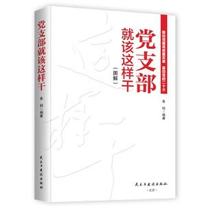 党支部就应该这样干 9787513937443金钊 编著民主与建设出版 社 图书 图解 正版