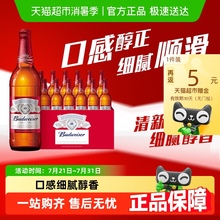 百威啤酒600ml*12瓶玻璃瓶装拉格9.7°P啤酒整箱批发浓郁麦香