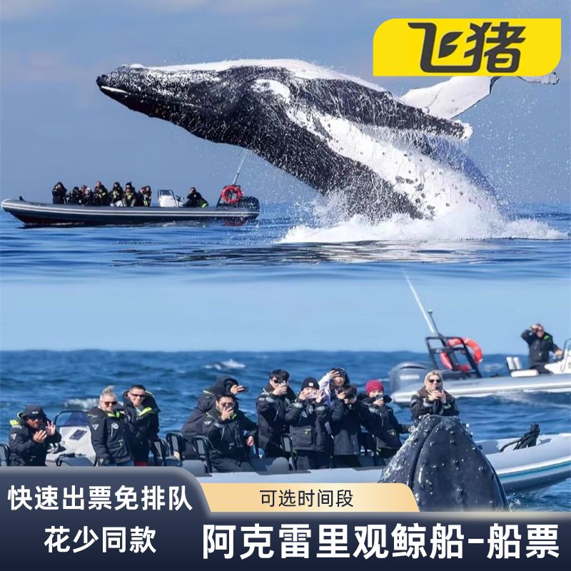[阿克雷里观鲸船-船票]花少同款-阿克雷里观游船-观鲸