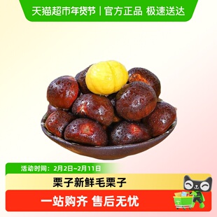 山东高山老树油栗板栗生栗子新鲜毛栗子粟子粉糯好剥蔬菜辅食生鲜