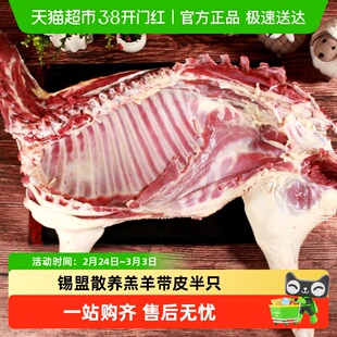好袁头羊肉半只羊9斤礼盒山羊带皮新鲜羊排羊腿内蒙冷冻发半羊肉