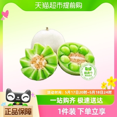 【喵满分】山东聊城玉菇甜瓜2.5/4.5斤装单果600g+应季新鲜水果