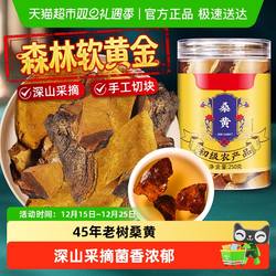 桑黄中草药材西藏野外生45年搭长白山灵芝片打粉泡水