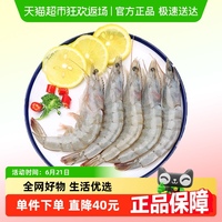 九十六次鮮鮮活速凍南美白蝦