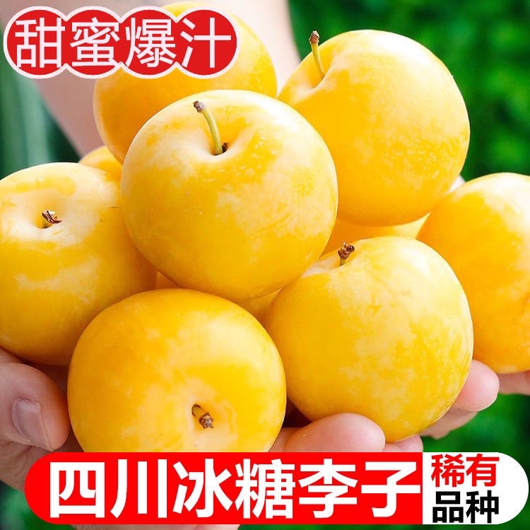 正宗纯甜冰糖李桃花李5斤新鲜水果四川蜂糖李子黄金奈李整箱包邮3